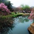 桃花源景區(廬山市桃花源)