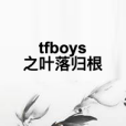 tfboys之葉落歸根