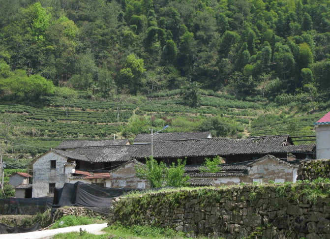 下坑村(福建省泉州安溪縣湖頭鎮下轄村)