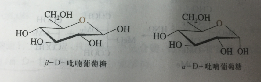 葡萄糖的兩種構象