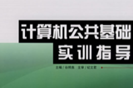 計算機公共基礎實訓指導