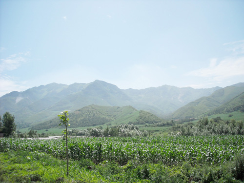 王官村