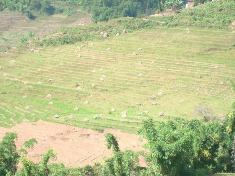 團山自然村(雲南普洱景東彝縣錦屏鎮溫卜村委團山自然村)