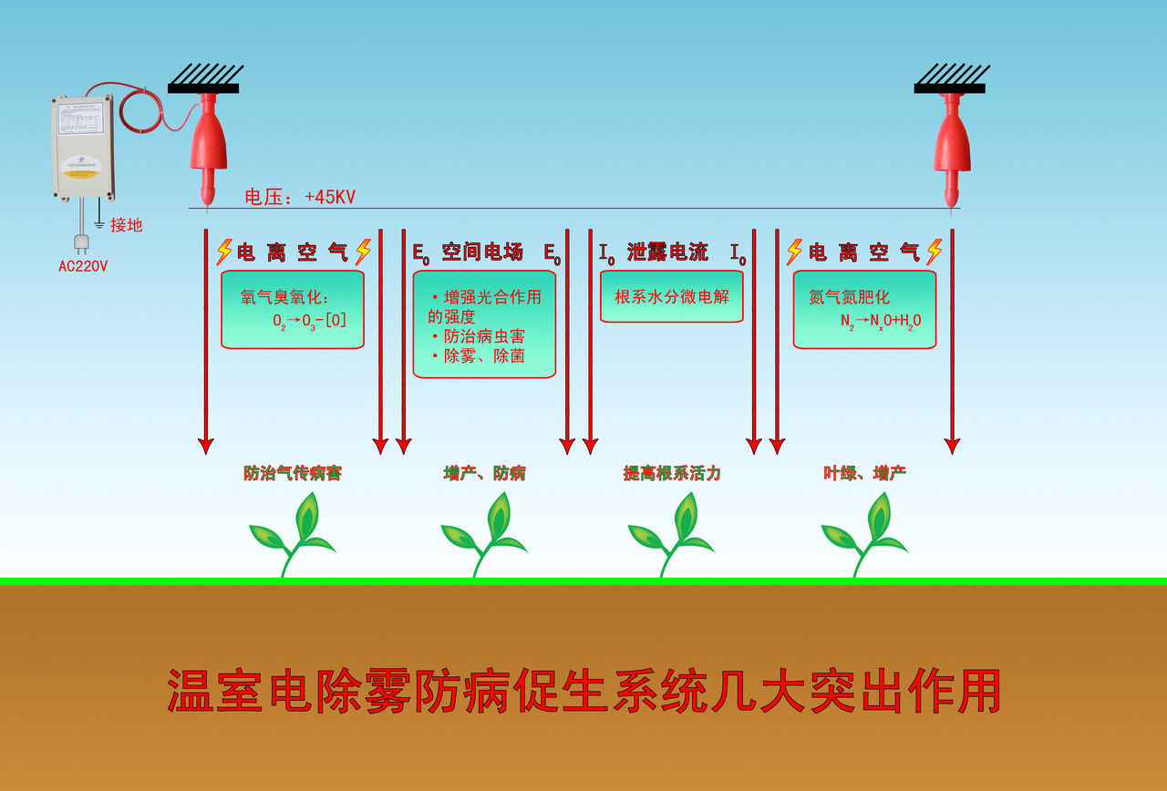 空間電場調控植物生長與病害預防原理解說