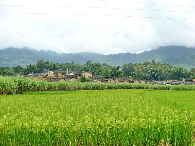 雞頭坡村