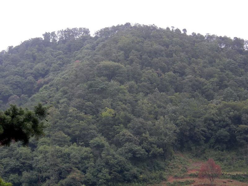 蒼蒲箐村(雲南楚雄市大過口鄉下轄村)