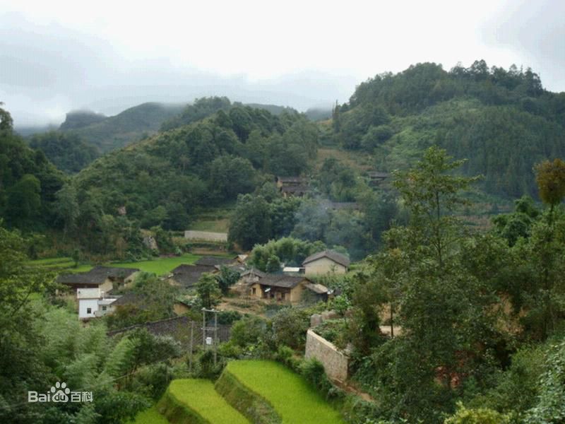 大坪子村(雲南省蘭坪白族普米族自治縣河西鄉下轄村)