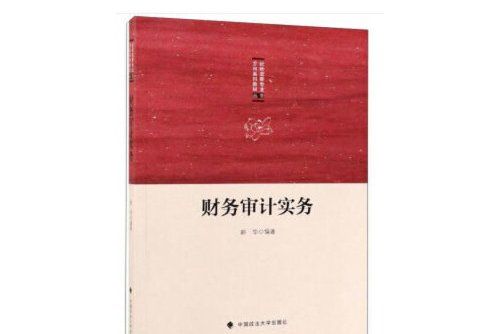 財務審計實務(中國政法大學出版社2019年9月出版的書籍)