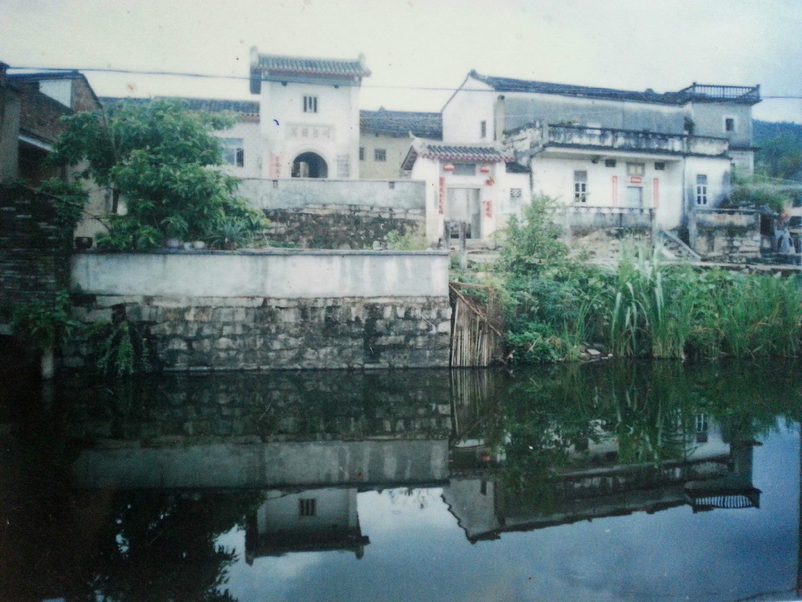 墩塘村(廣東省汕尾市陸河縣水唇鎮下轄村)