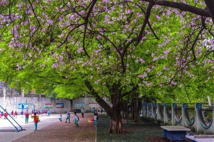 廣州市天河區五一國小