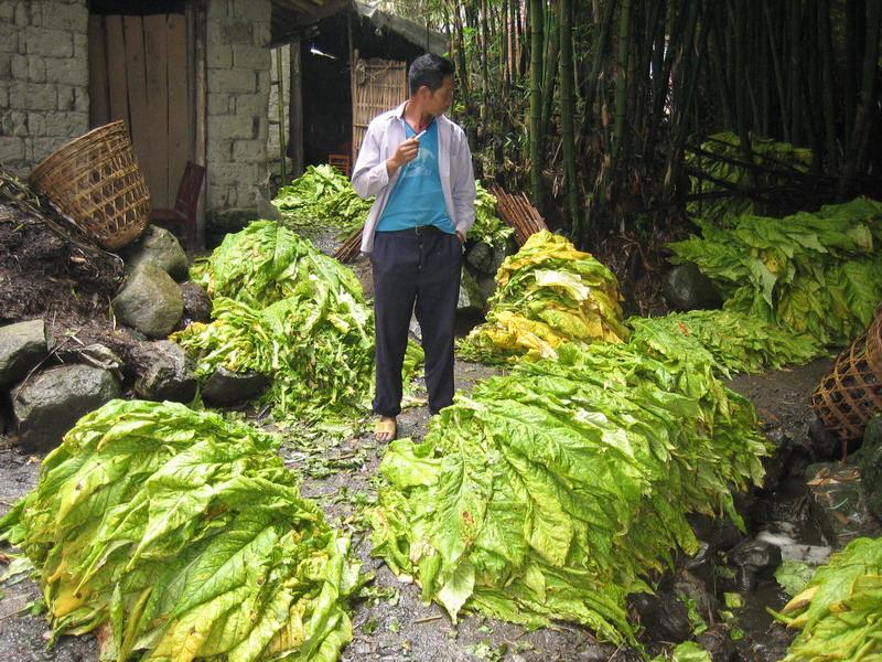 小寨騰自然村