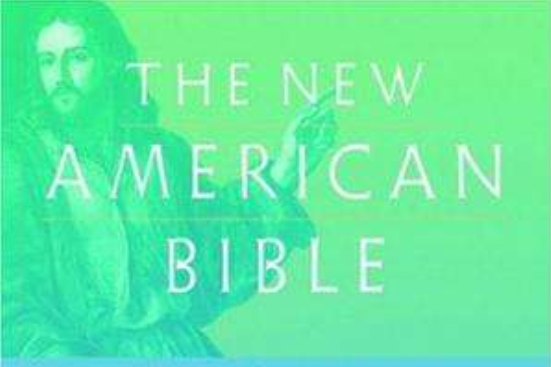 The New American Bible 讀者版新美國聖經