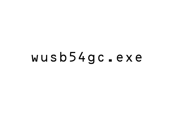 wusb54gc.exe