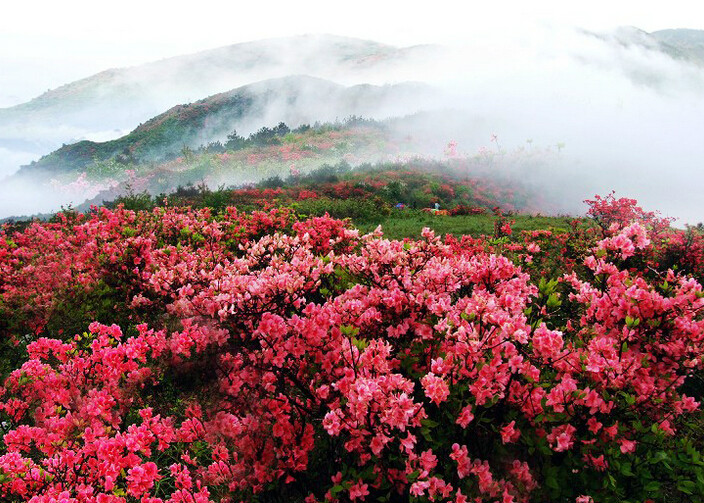 江西聖井山風景區