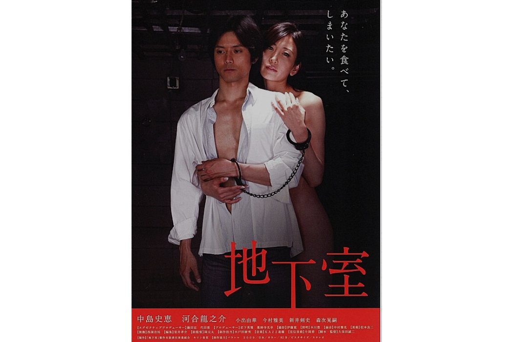 地下室(日本2009年中島史惠主演的電影)