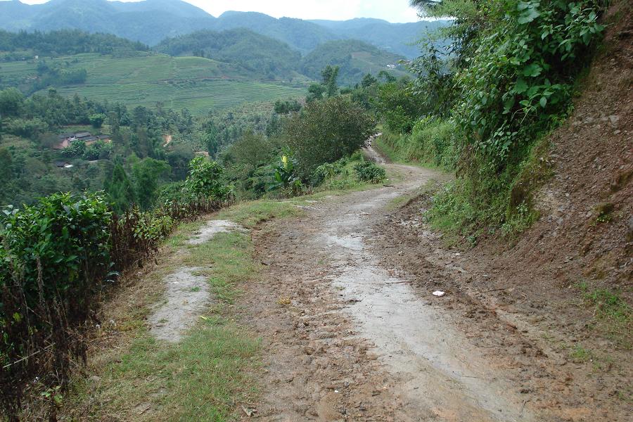 觀音山自然村通村道路