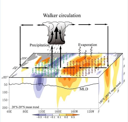 沃克環流成因分析圖
