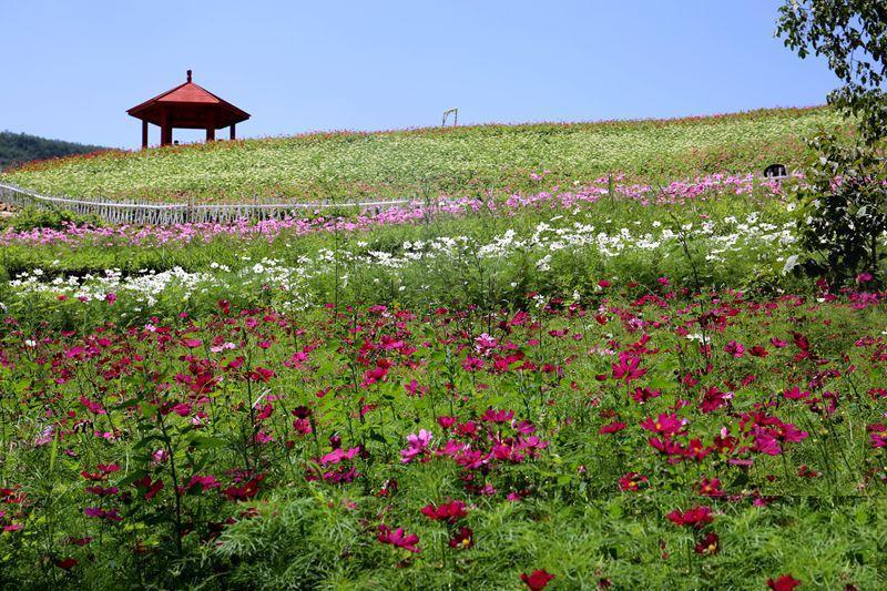 宜君花溪谷