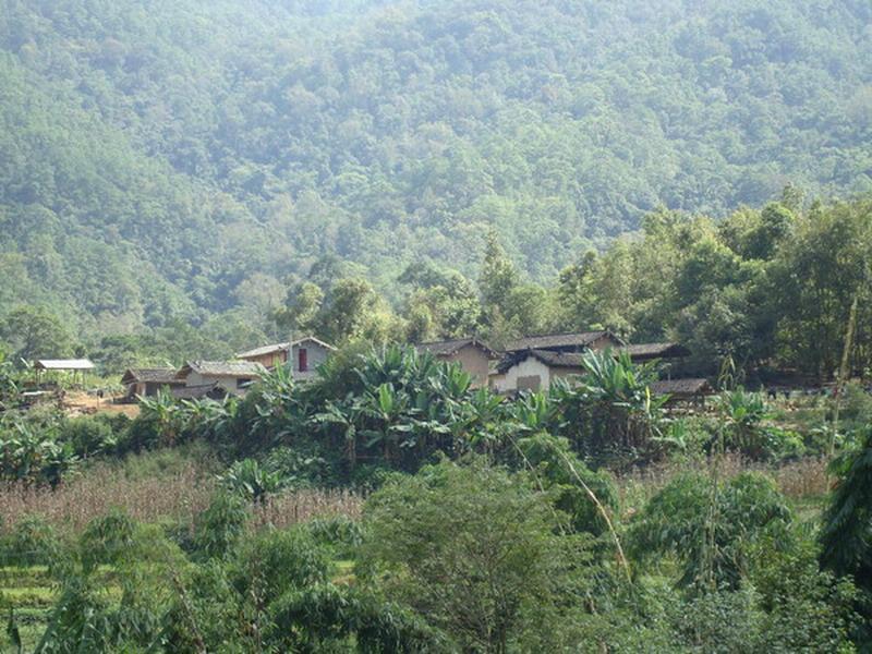 大份田自然村