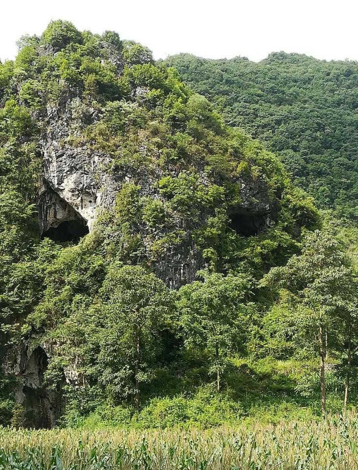 水頭布依山寨