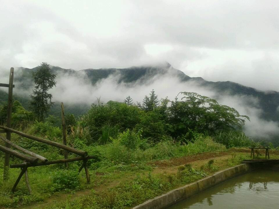 瀏陽市淳口鎮永樂村