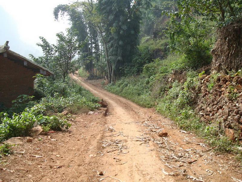 進村道路