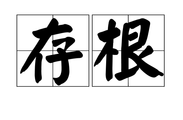 存根(漢語詞語)