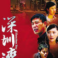 深圳灣(2008年師小紅主演電視劇)