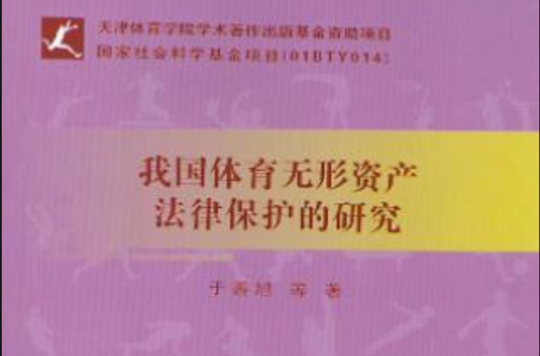 我國體育無形資產法律保護的研究