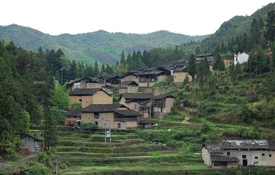 坂頭村(福建仙遊縣賴店鎮下轄村)