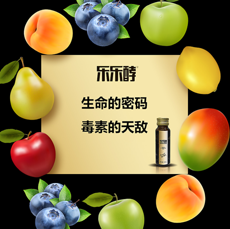 深圳市樂樂酵健康食品科技有限公司