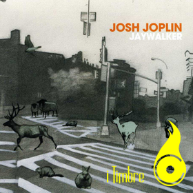 josh joplin