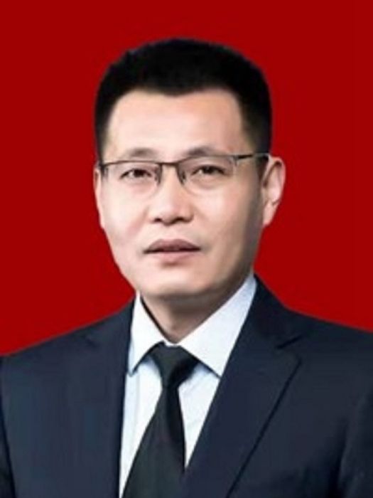 張鑫(陝西省扶風縣委常委，縣人民政府黨組成員、副縣長（掛職）)