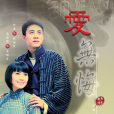 愛無悔(2008年賴水清執導電視劇)