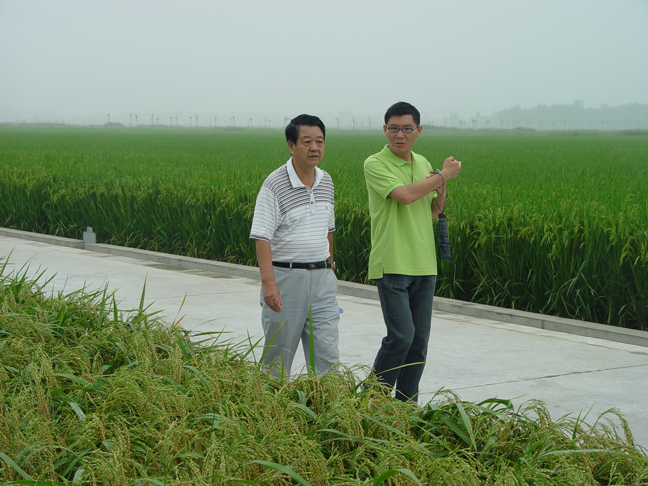 湖北省綠色超級稻工程技術研究中心