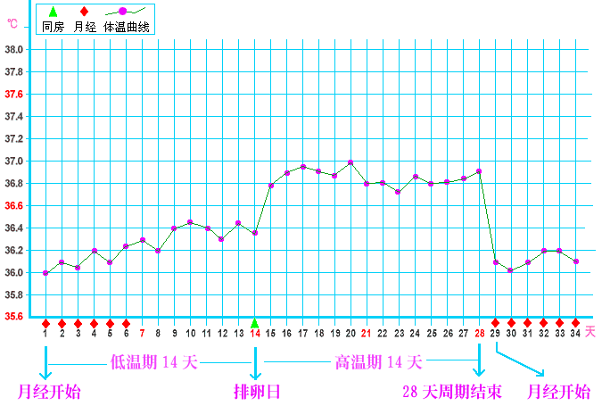 體溫監測