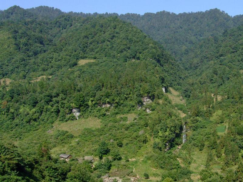 羅坪村(雲南綏江縣板栗鄉下轄村)