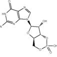 環單磷酸鳥苷