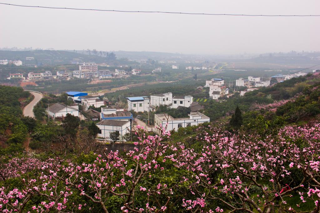 梅灣村(河南省杞縣邢口鎮下轄村)