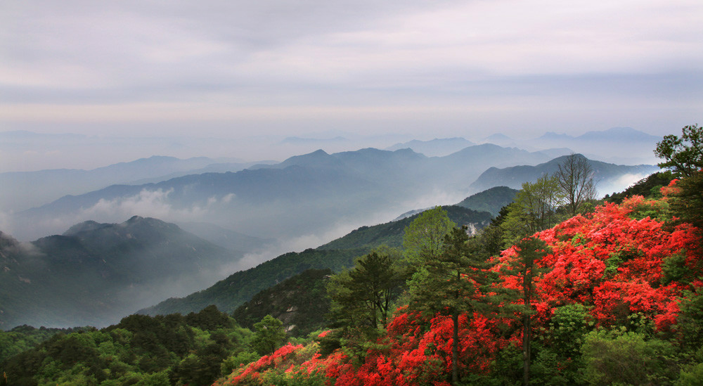 小金山村