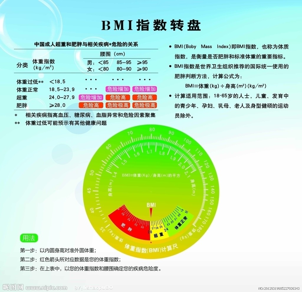 瘦身計畫