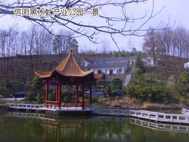 黑水虻公園