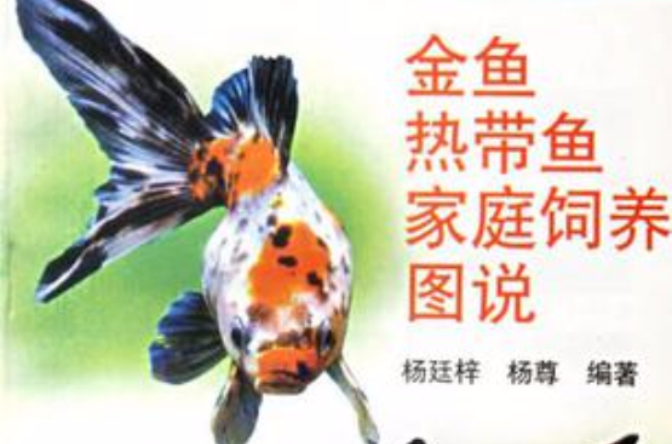 金魚熱帶魚家庭飼養圖說