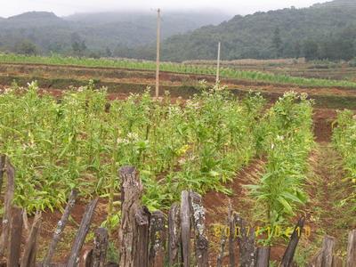 筆架山村山地