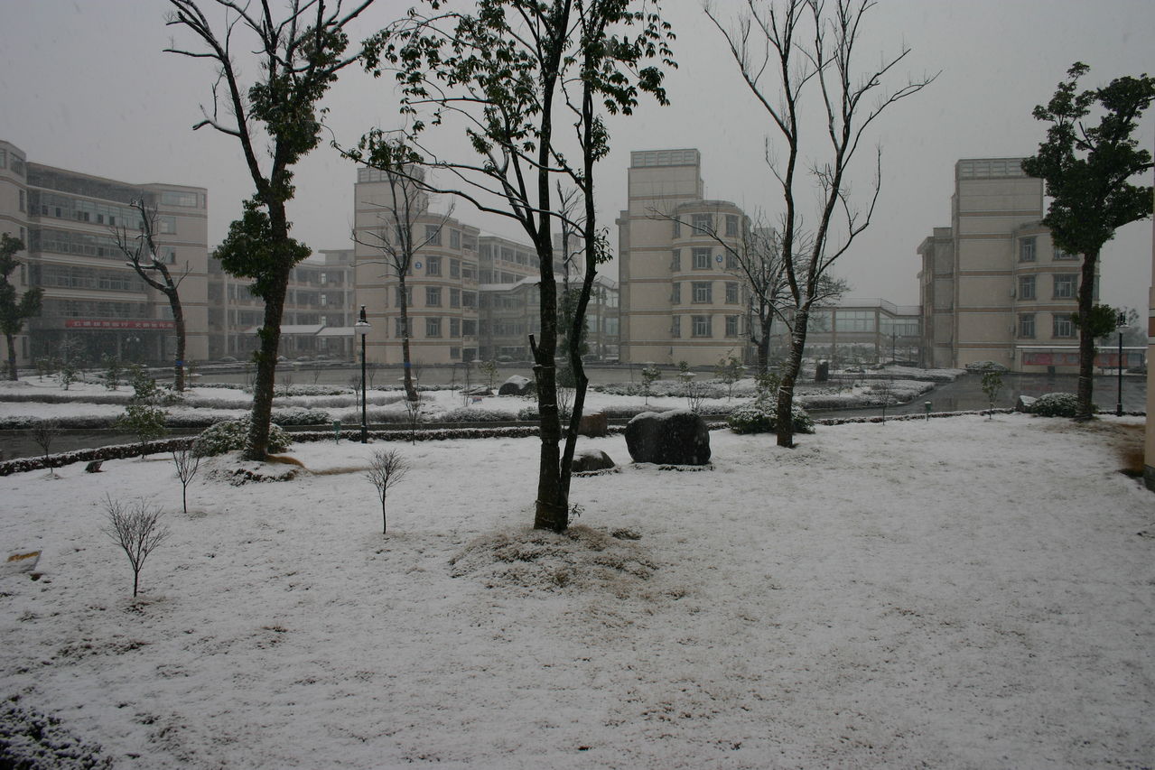 校園雪景