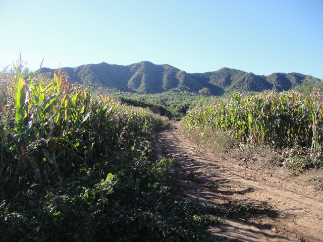 車坊村