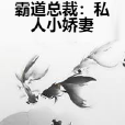 霸道總裁：私人小嬌妻