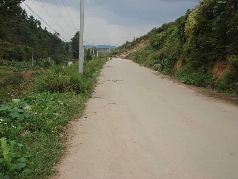 入村柏油路