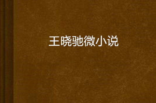 王曉馳微小說