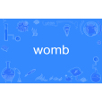 womb